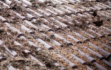 Rockstowes roof cleaning companies